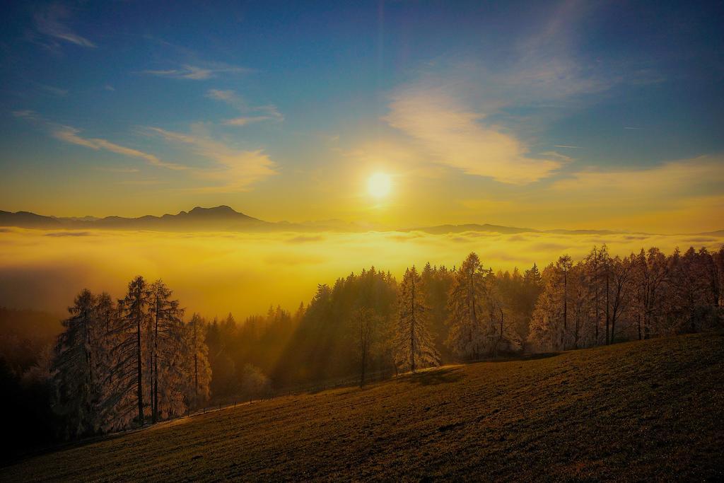 Apartment Christine Weyregg am Attersee Dış mekan fotoğraf