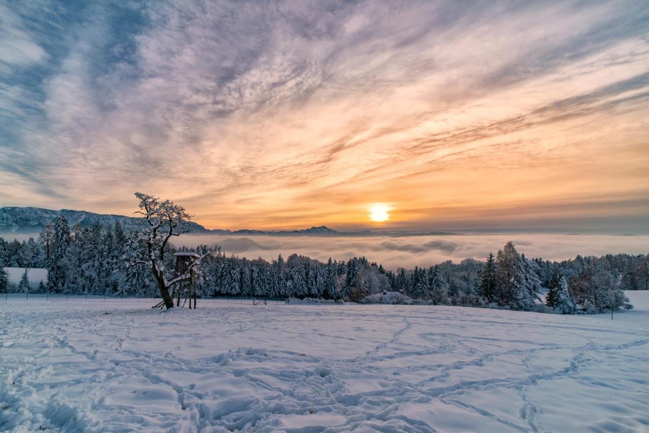 Apartment Christine Weyregg am Attersee Dış mekan fotoğraf