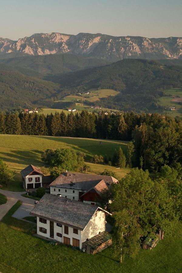 Apartment Christine Weyregg am Attersee Dış mekan fotoğraf